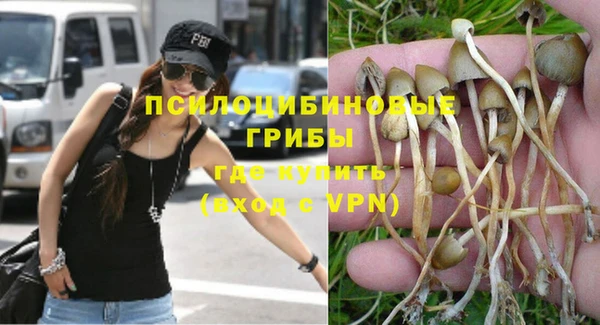 кокаин Белокуриха