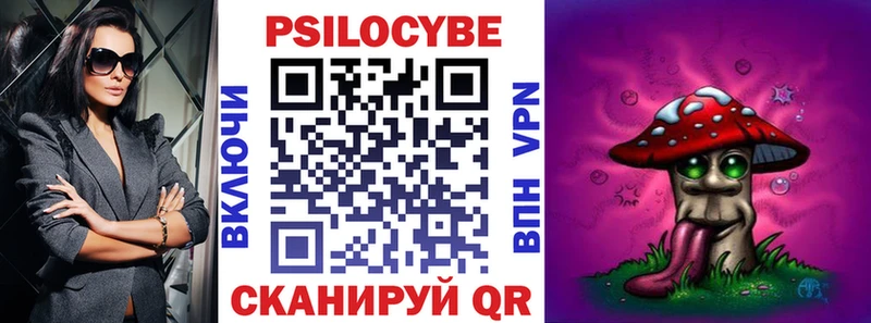 Галлюциногенные грибы Psilocybine cubensis Магас