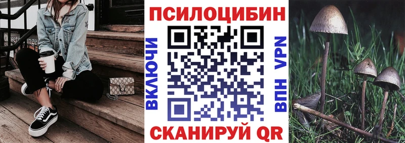 Псилоцибиновые грибы Cubensis  Магас 